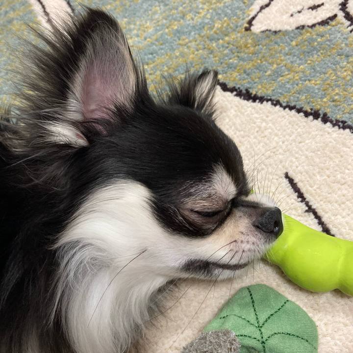 D94837dd 39d9 4f61 8e49 ce430e6d727f 1625324988276