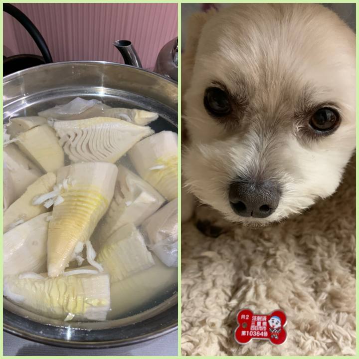 D948676d 6189 40e6 b7c5 3c8884ed1ec2 1587038786728