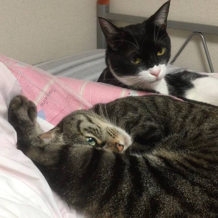 D9486aa0 cae7 4abe bdd6 0f1d9e283992 1584875451390