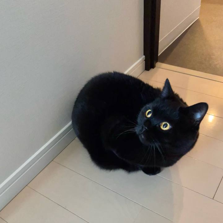 D9487e5d ab87 4118 925b 1700865c3a2f 1668571925844