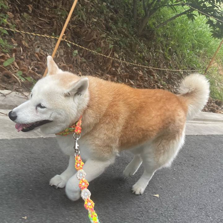 D9488cb9 6873 484b 91ad f83e68c07ac4 1694698649171