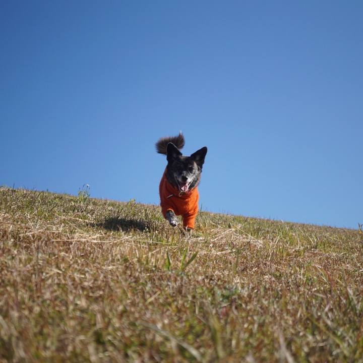 D9489ded 0d09 45e7 ac18 8cbe9c4e4c20 1607554682920