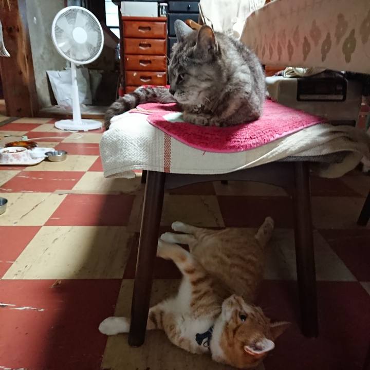 D948cd94 3da8 4398 9f00 802e750ee790 1564949157632