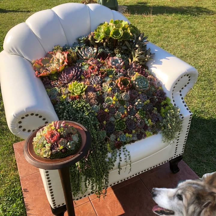 D9490c96 9c8a 495b bfd2 c53641122c4d 1540044171683