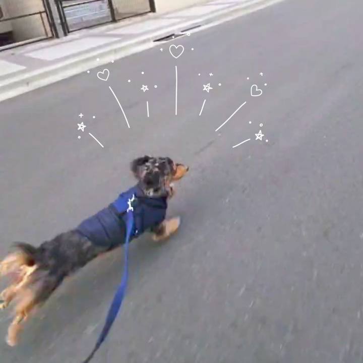 D9491743 64cf 4b68 8db1 24c682a3f507 1737968762776