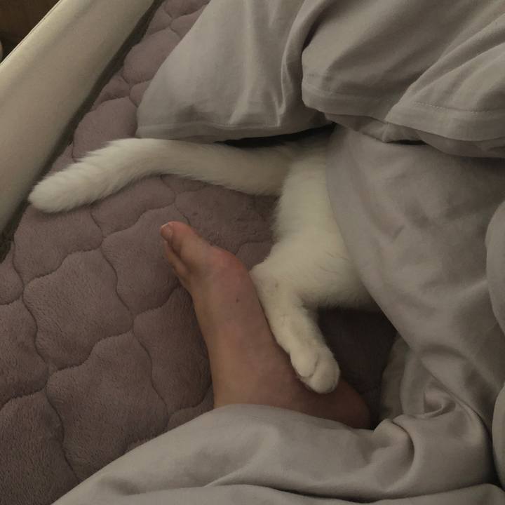 D9492534 5f81 4a73 924f a941bd6dc470 1618098105042