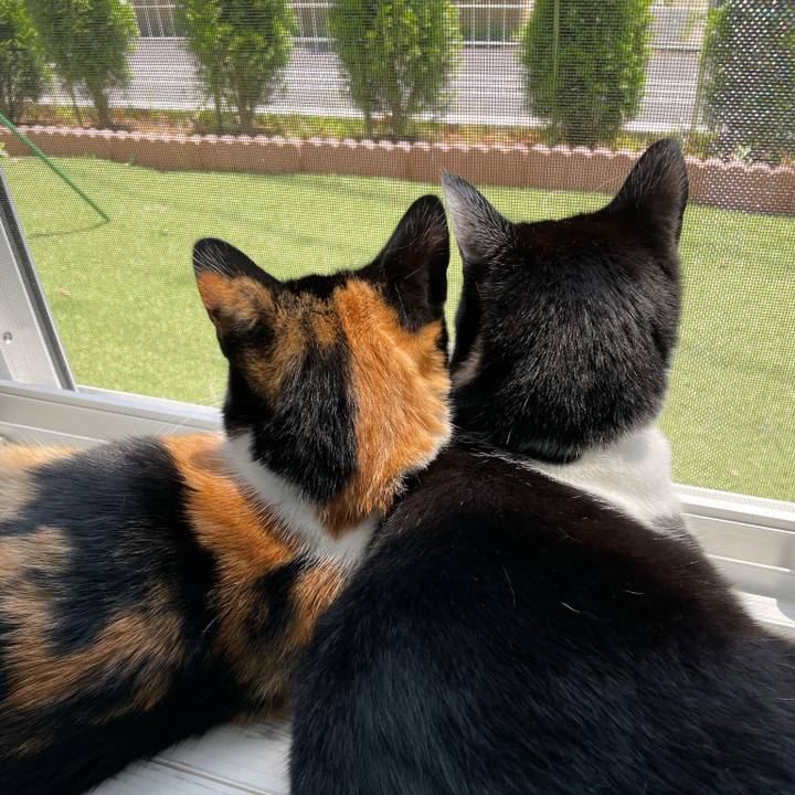 D9493e7e bace 4bc4 a6c4 adf3b4c305a9 1655017182241