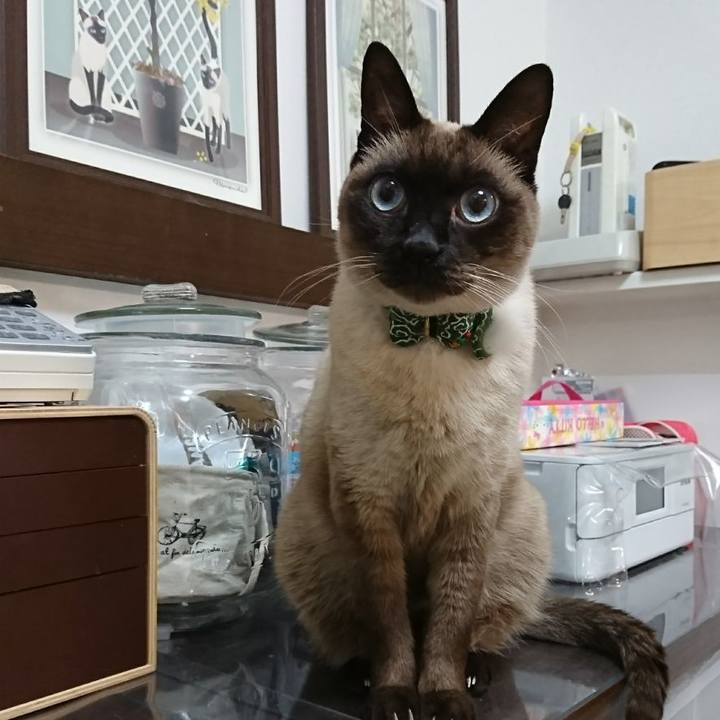 D9495580 9a93 421c afa0 54f541c3483b 1515105888417