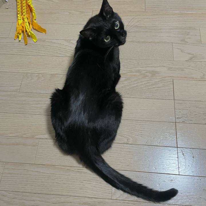 D9497583 44dc 4235 b064 64e256b8055f 1720619734578