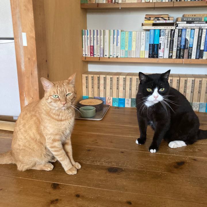 D949ad16 4f55 4769 bf0c c9ef38e9b747 1627300231521