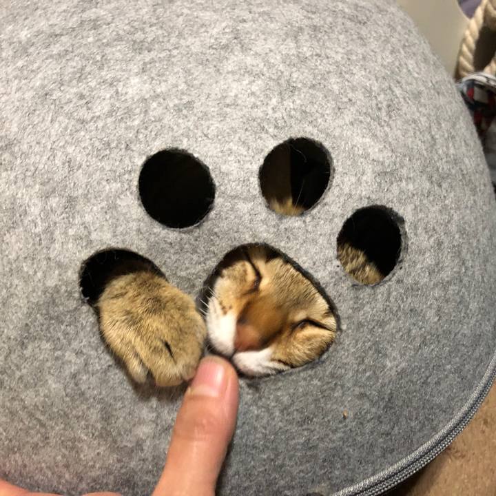 D949f17d a0b1 4344 9d5b 404d063bc5fe 1581826359308