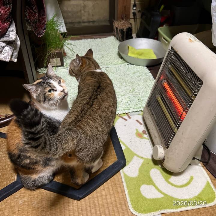 D949f19c faed 4940 b9ec c41c91ba4910 1773965797639