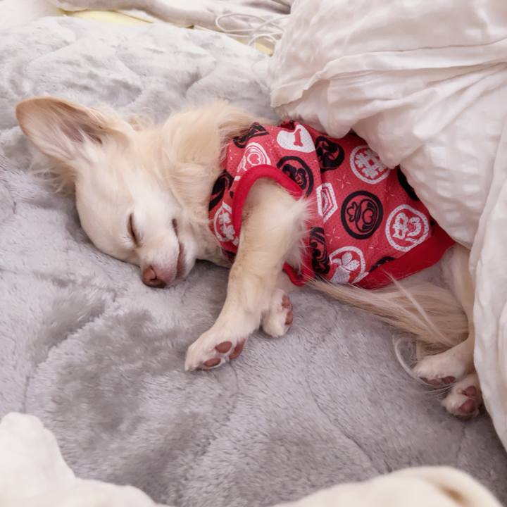 D94a0255 f8e3 4fca a74f 321d27a6952a 1742870951437