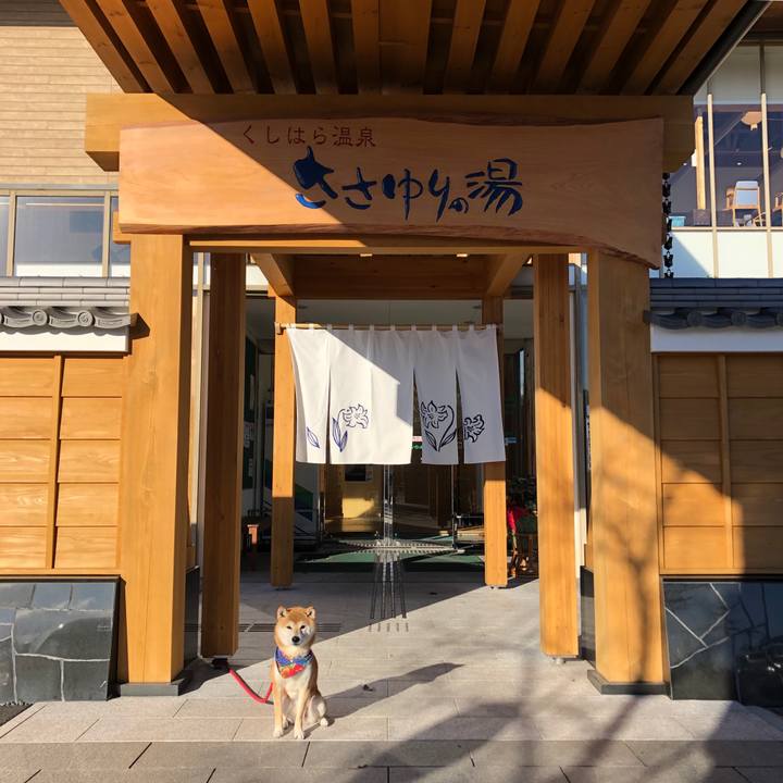 D94a42fa 648b 4283 832d 448691e50a7b 1544864270970