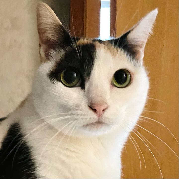 D94a8558 6d39 499c a0b4 606d5e8c10ea 1652151674867