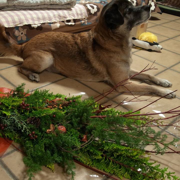 D94ab6a0 45ba 4d04 af8e e6278be96096 1583485462336