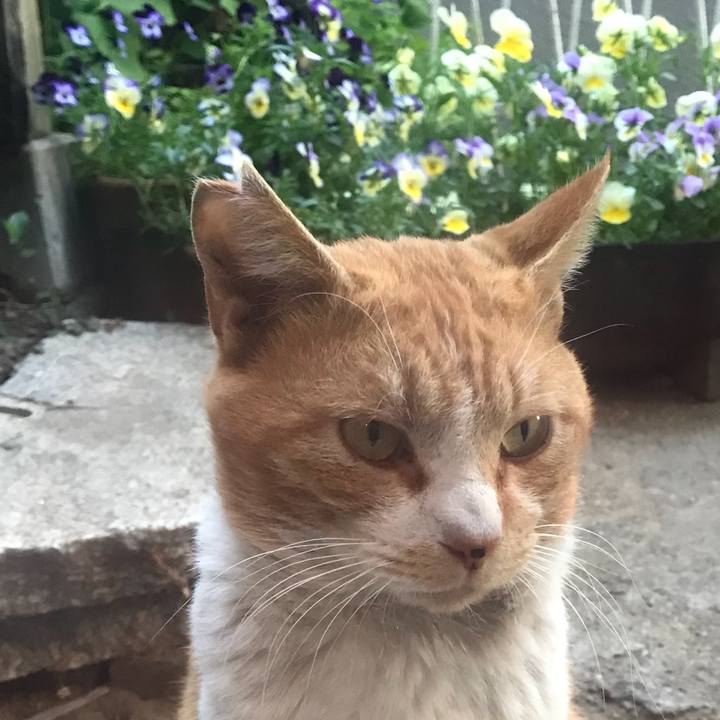 D94ac9fb ff16 472d 9627 344d9515f822 1524128949945