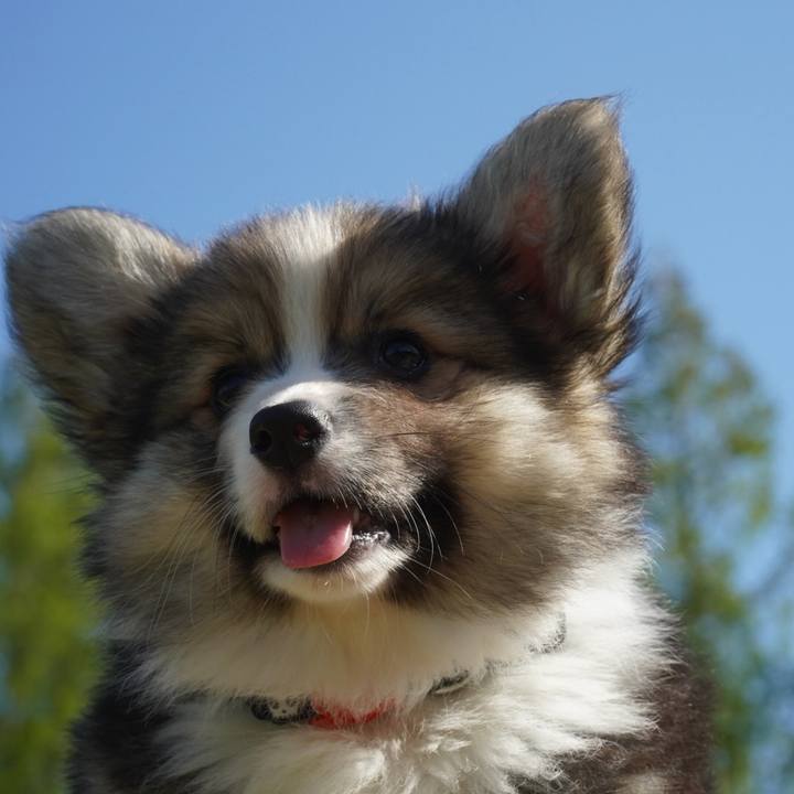 D94aed18 e5d4 43c5 83ae d8c9fa96c12a 1775881729732