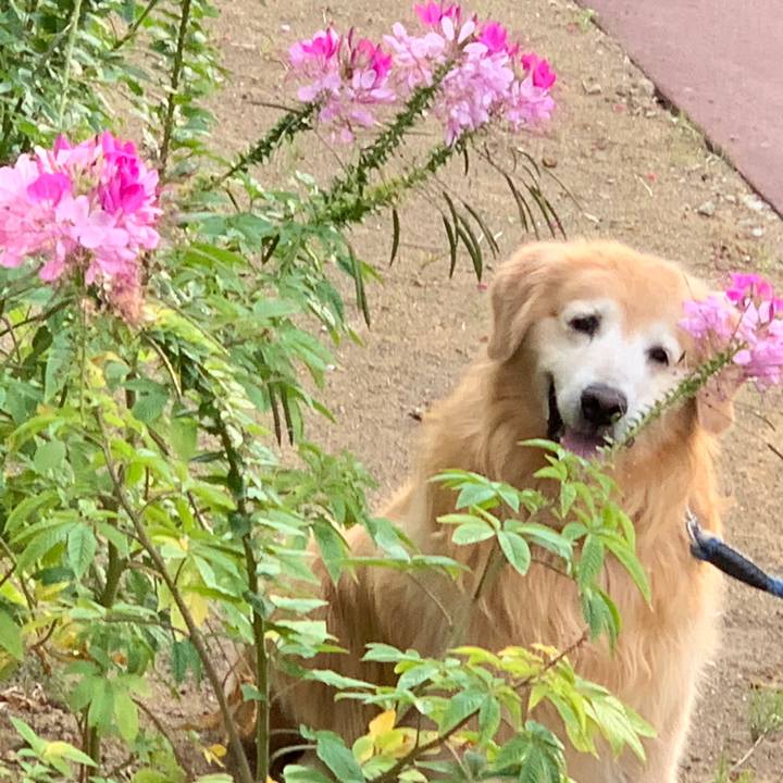 D94b2632 5522 45ee bdb6 14e896738d79 1601934135664