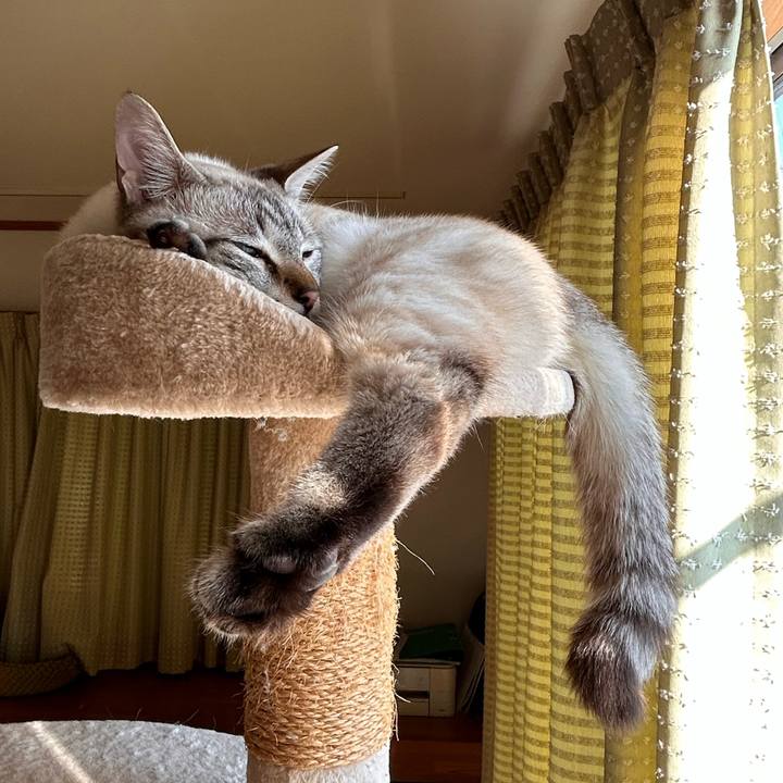 D94b7a2a 23f1 41f8 9ad5 0c2124651bb3 1750320833816