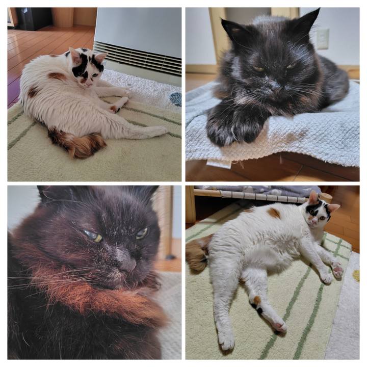 D94ba5cb 2790 4b1a 99bc 1a805b5fc738 1770541711245