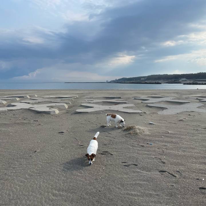 D94baff4 8e9c 4449 aa3a ba47ad768e23 1743986540553