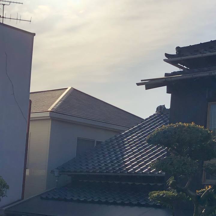 D94bb9ca 7b6b 4ba7 92e0 fae87fb319a5 1620253424753