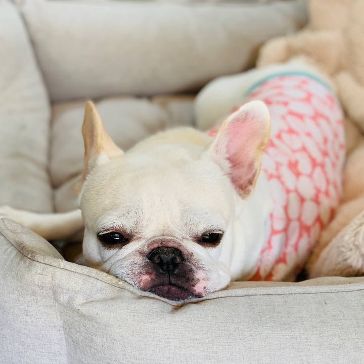 D94bbf2c cd6a 4d1b a56c 5e6bf30edc04 1602912055413