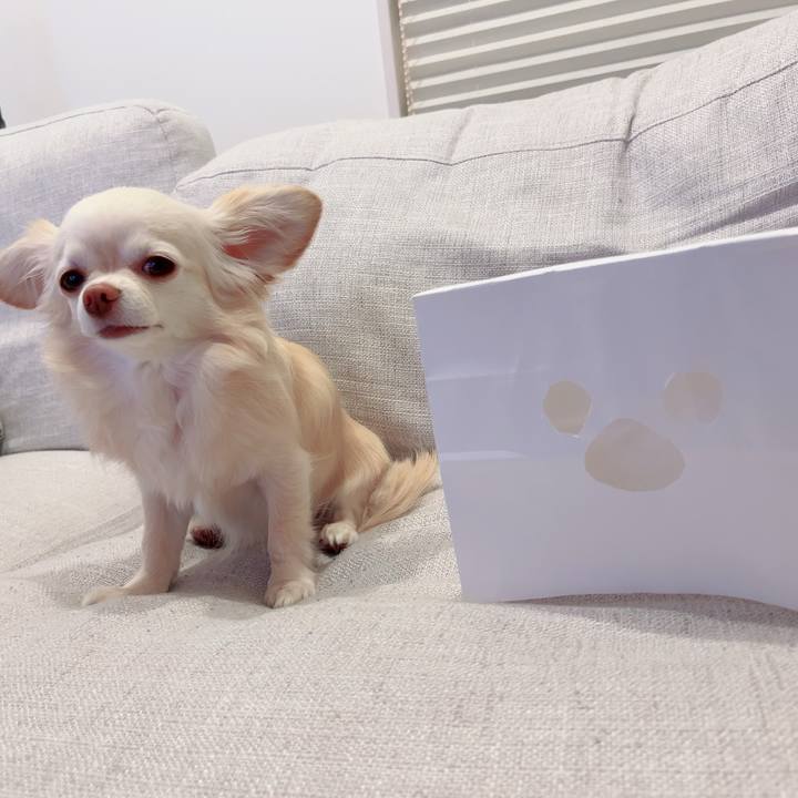 D94bc0a5 56af 4233 927a 45892edea5a3 1715686270969