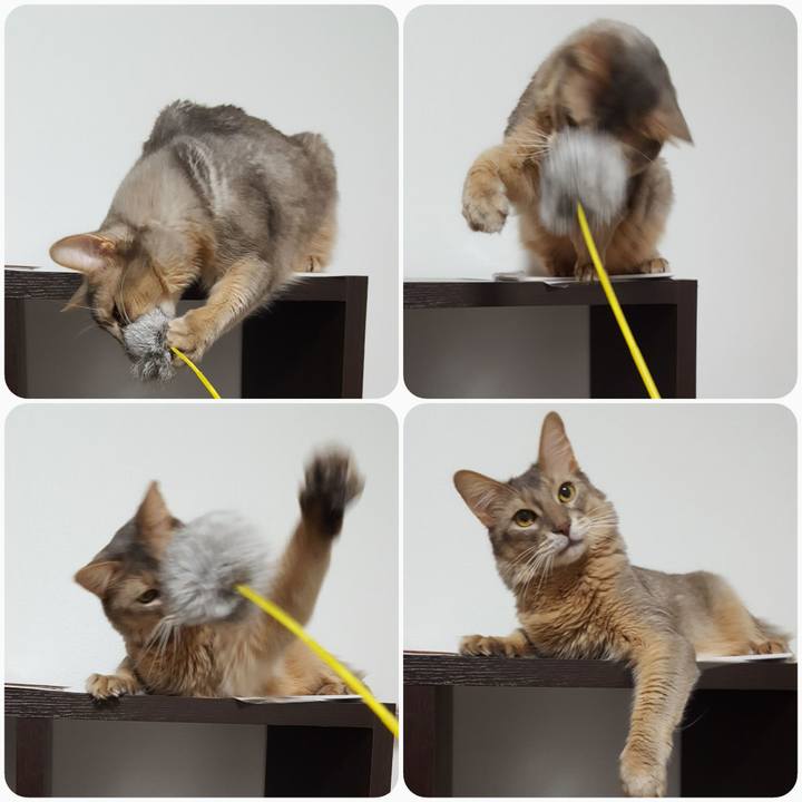 D94bd6bb c25a 4b53 a478 9b8b1f597915 1578098507036