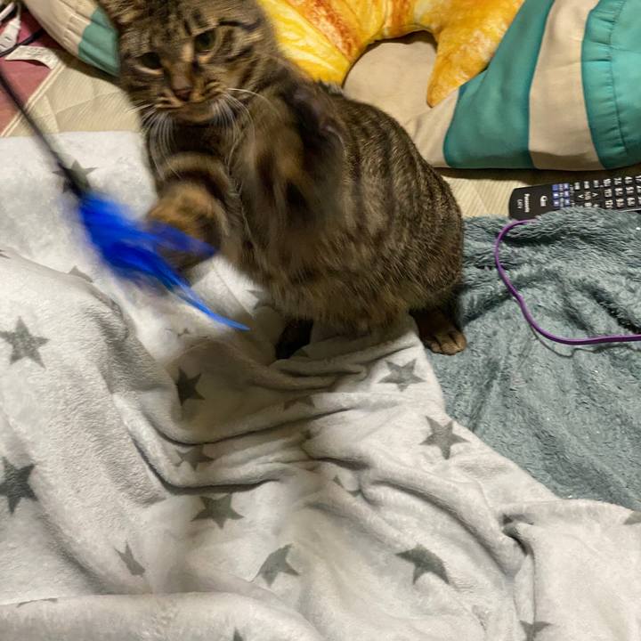 D94c0e6f 1d4d 4fae 84d4 ad13a6c1eb05 1584075493088