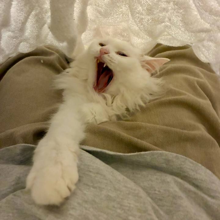 D94caae1 d31b 45b4 a076 761cec08ccec 1764301076677