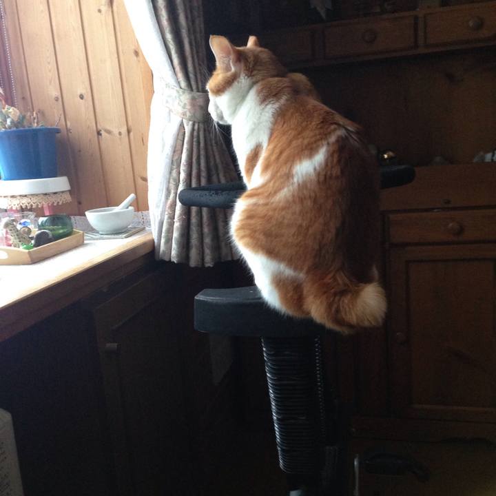 D94cc061 508f 4927 9f73 85e96b8f1084 1514158081371