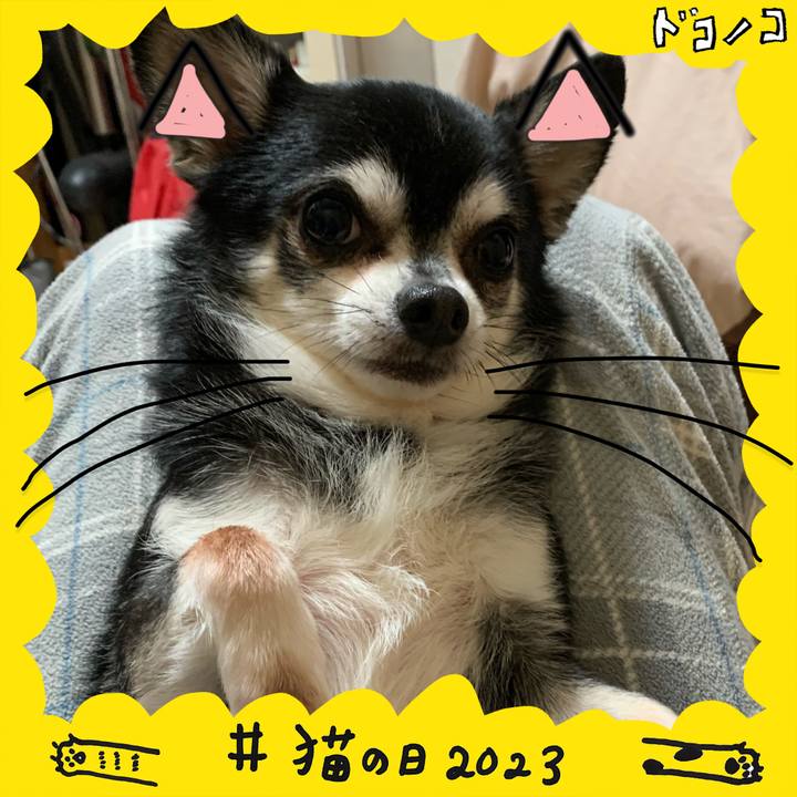 D94ce5fc b94f 49e3 9531 8ba21d8a4fa0 1677049392222