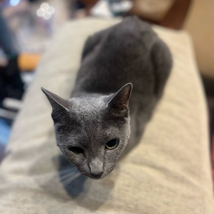 D94d8183 13b0 46d9 b650 16bd733265e0 1745408803877