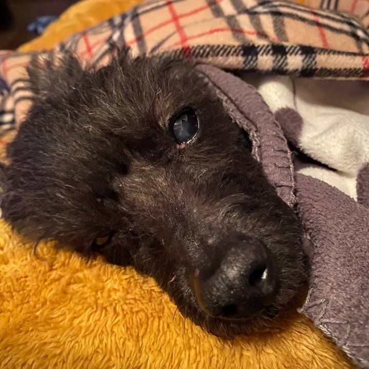 D94e0398 b57c 466d b857 660ad2ab8bba 1610530821417