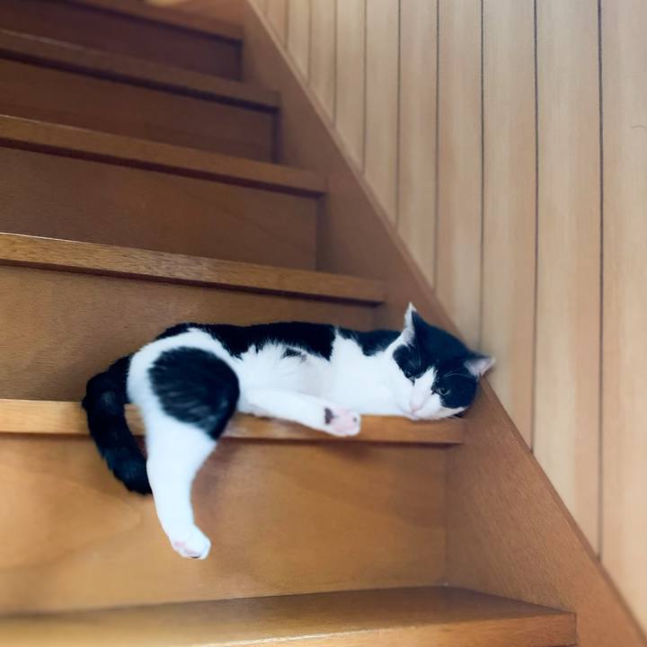 D94e1cf3 a4fe 4793 aa07 7c4859a2a6b0 1591753974987