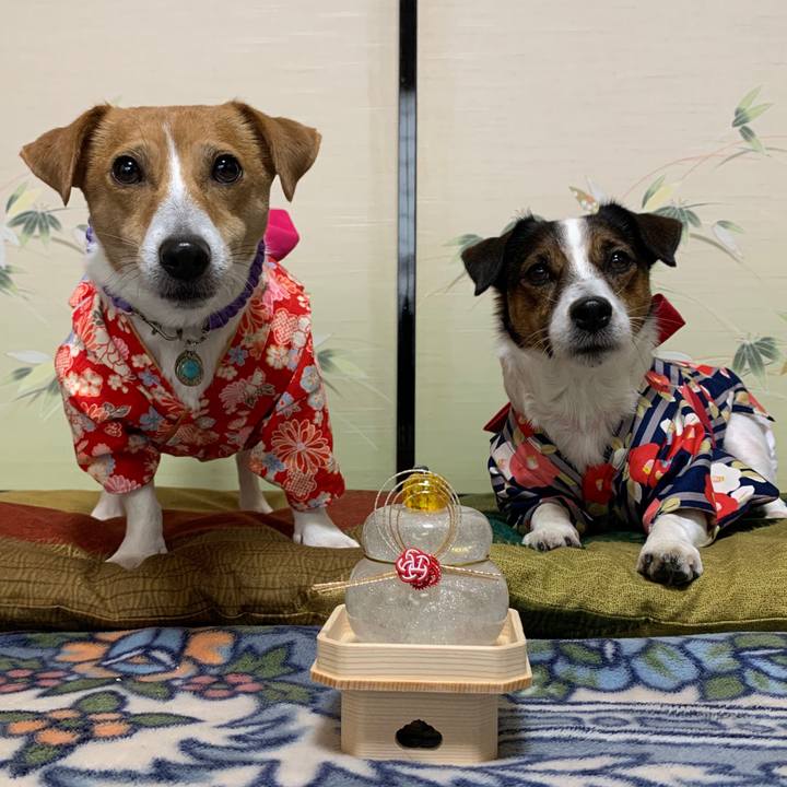 D94e2fa6 3d99 4d3f 9ace ba42312ee6ce 1577837782099