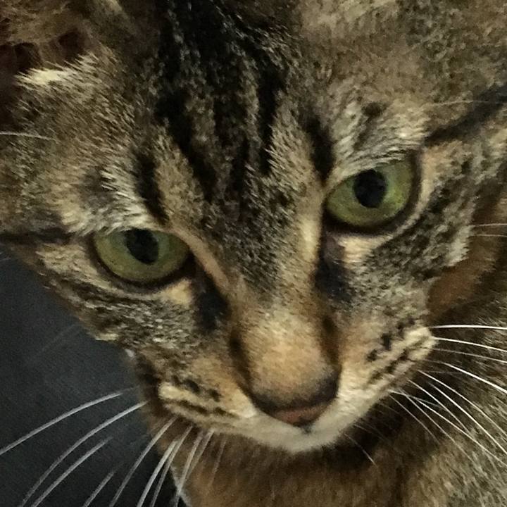 D94e30d9 4277 49ab 9bae 110c2018135b 1560075674509