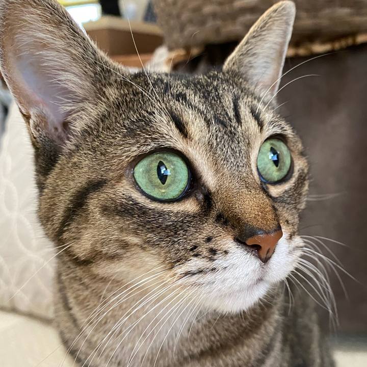 D94e330c 789a 485b b18d 2839ed68df6b 1763867310800