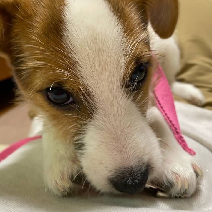 D94e8174 1b71 4b4f 986c f303ff7a4a1a 1612528172430