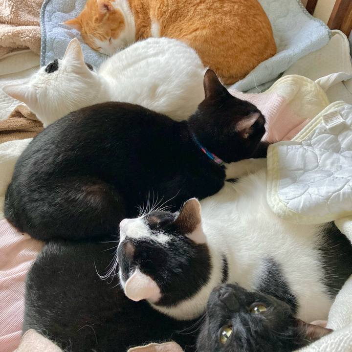 D94e87cc a46a 4153 99f0 ffe4f3b7ddd6 1661170909782