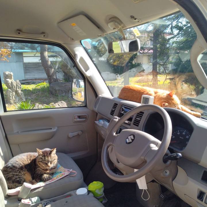 D94e9cf2 f671 45a3 ad1e 1ce9997d4979 1745997096060