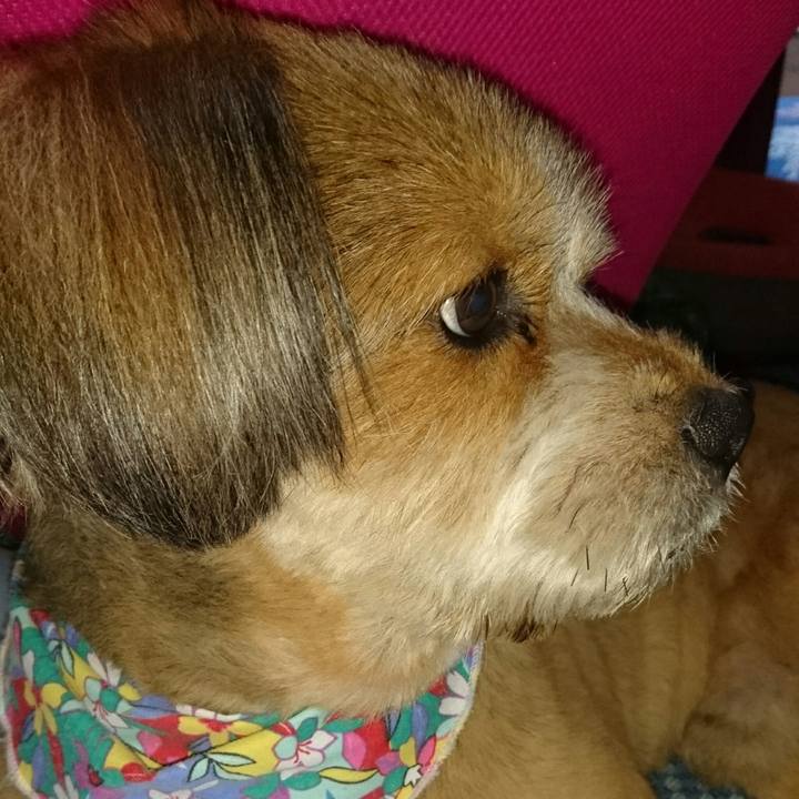 D94ea5e5 2011 40c3 a8c0 0e24f5880903 1535894322718