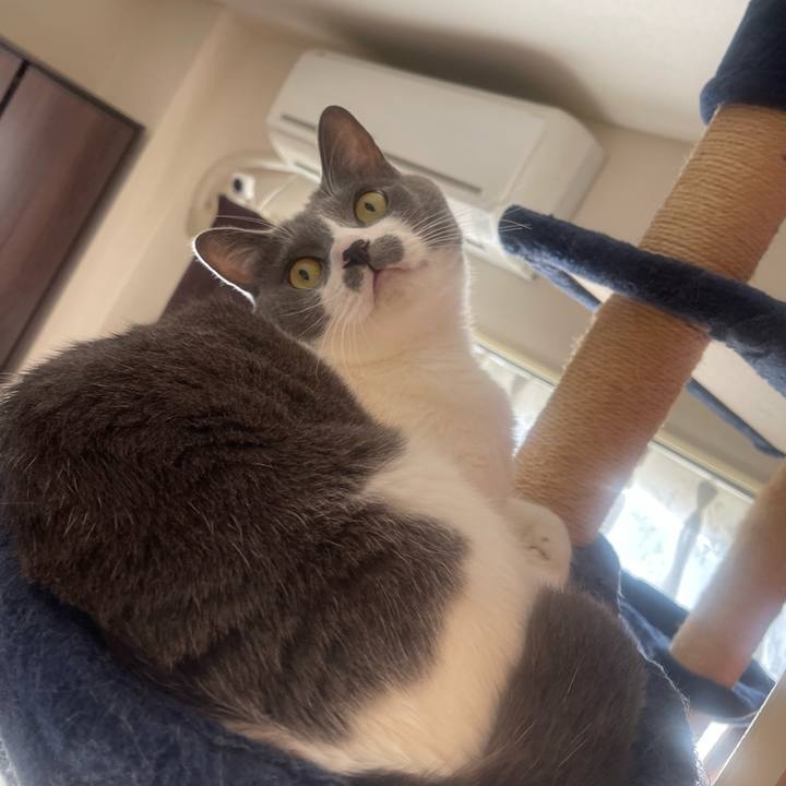 D94ed075 f721 4737 9649 6745fc1e9089 1730593687632