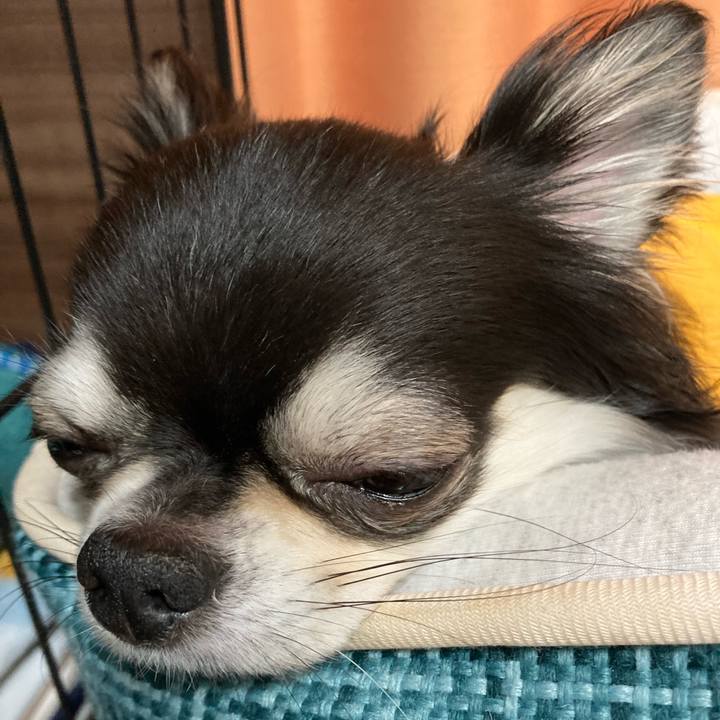 D94eda51 090b 477c ba03 7eebdfa75b1f 1681620146953