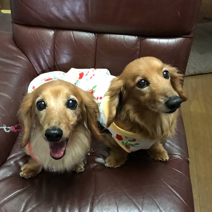 D94f374f 8ea6 4e65 8383 89ccdfe4bb44 1558268965519