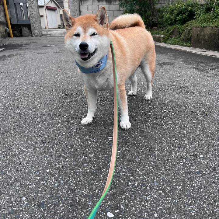 D94f5781 52c8 451c b563 28ac8aba9cab 1721181345420