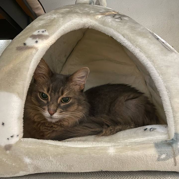 D94fcf10 0ada 4641 bb20 803ff1f5e4dc 1764431855169