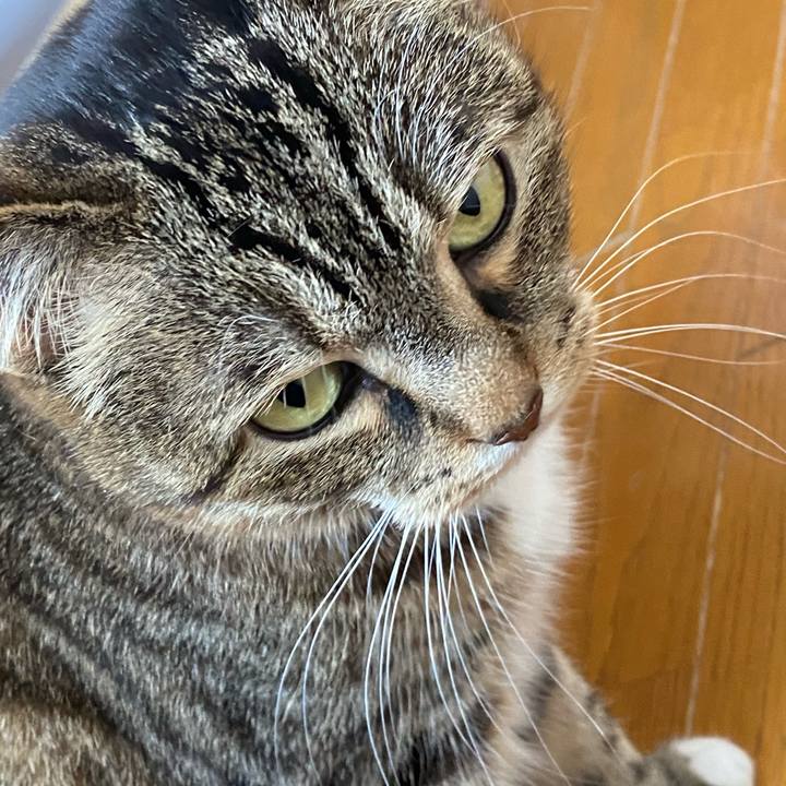 D95040f1 429d 45ca a0c8 14896a0f5ab4 1620976006333